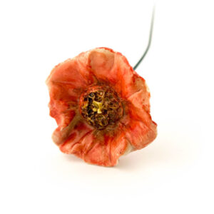 Kubeczki bolesławiec, Kubki bolesławiec, bolesławiec kubki, kubki boleslawiec, Boleslawiec kubki, bolesławiec, ceramika bolesławiec, półmisek Bolesławiec, miska Bolesławiec, kubek, bolesławiec, bolesławiec sklep, ceramika, filiżanki bolesławiec, kubki bolesławieckie, porcelana bolesławiec, polska ceramika, unikat, ceramika bolesławiecka, boleslawiec, uniceramic, manufaktura, ceramika artystyczna, zakłady ceramiczne, zakłady bolesławiec, filiżanka espresso, filiżanka w kropki, filiżanka w kwiaty, filiżanka ręcznie malowana, filiżanki, kubek kot, kubki bolesławiec, boleslawiec, naczynie do zapiekania, zapiekanka z pokrywą, miska ceramiczna, miski, miski bolesławiec, talerz ceramiczny, talerze deserowe, talerz śniadaniowy, talerze bolesławiec, garnek ceramiczny, garnek hermetyczny, garnek do kiszenia, kot ceramiczny, figurka kot, kot bolesławiec, maselnica ceramiczna, maselnica, ceramika Bolesławiec sklep internetowy, ceramika Bolesławiec sklep firmowy, ceramika bolesławiec sklep internetowy, bolesławiec sklep, ceramika z boleslawca, kubeczki bolesławiec, ceramika z bolesławca, maselnica wodna, maselnica francuska, maselnica hermetyczna, ceramika czaja, czaja Bolesławiec, zastawa stołowa, talerze obiadowe, talerze, formy do pieczenia, forma ceramiczna do pieczenia, ceramika bolesławiec sklep internetowy, ceramika z Boleslawca, ceramika z Bolesławca, 166a, Bolesławiec 166a, Bolesławiec d42, Bolesławiec art-277, Bolesławiec DPLC, Bolesławiec art-149, bolesławiec miseczki, dekoracja d-37, wzór D-111, dekoracja D-1208 jagody